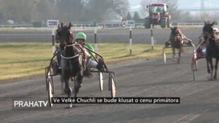 Ve Velké Chuchli se bude klusat o cenu primátora