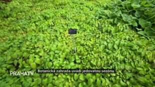 Botanická zahrada uvádí jedovatou sezónu