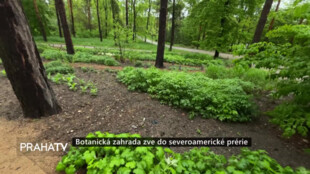 Botanická zahrada zve do severoamerické prérie