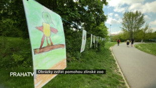 Obrázky zvířat pomohou zlínské Zoo