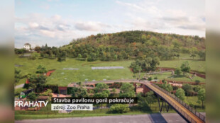 Stavba pavilonu goril pokračuje
