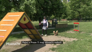 Pejsci v Praze 11 mají důvod k radosti