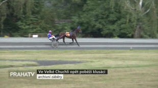 Ve Velké Chuchli opět poběží klusáci
