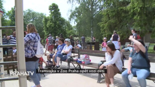 Tramvajka v Zoo Praha opět vozí děti