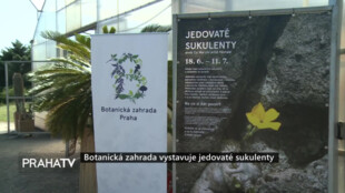 Botanická zahrada vystavuje jedovaté sukulenty