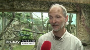 Za prázdninovým dobrodružstvím do Zoo Praha