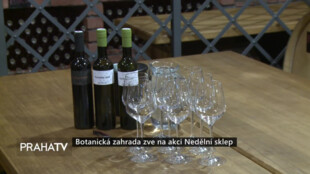 Botanická zahrada zve na akci Nedělní sklep