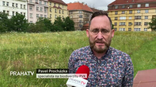 PVK podporují biodiverzitu ve svých areálech