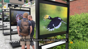 V Nových Butovicích vznikla venkovní galerie