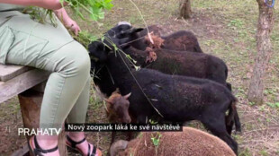 Nový zoopark láká děti i rodiče k návštěvě