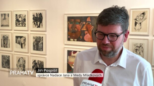 Díla Jiřího Šalamouna jsou k vidění v Museu Kampa