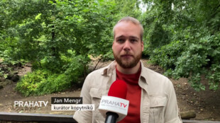 V Zoo Praha se narodili pekari Wagnerovi