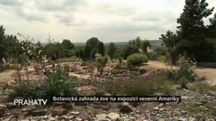 Botanická zahrada zve na expozici Severní Ameriky