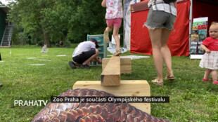 Zoo Praha je součástí Olympijského festivalu