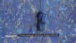V Praze vystavuje výtvarnice Zuzana Schmidt