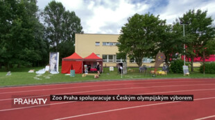Zoo Praha spolupracuje s Českým olympijským výborem
