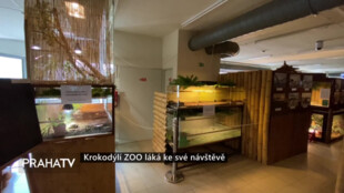 Krokodýlí ZOO láká ke své návštěvě