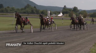 Ve Velké Chuchli opět poběží klusáci