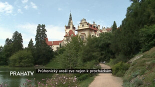 Průhonický areál zve nejen k procházkám