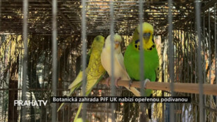 Botanická zahrada PřF UK nabízí opeřenou podívanou