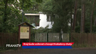 Kraj bude usilovat o koupi Hrabalovy chaty