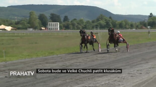Sobota bude ve Velké Chuchli patřit klusákům