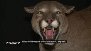 Národní muzeum otevřelo novou expozici