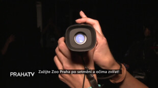 Zažijte Zoo Praha po setmění a očima zvířat!