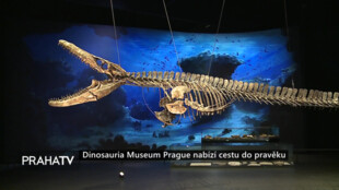 Dinosauria Museum Prague nabízí cestu do pravěku