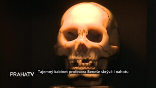 Tajemný kabinet profesora Beneše skrývá i nahotu