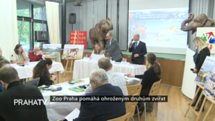Zoo Praha pomáhá ohroženým druhům zvířat