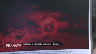 Galerie 9 ukázala krásu Srí Lanky