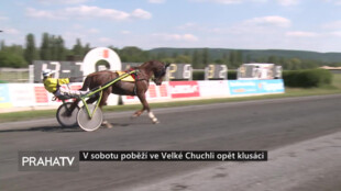 V sobotu poběží ve Velké Chuchli opět klusáci