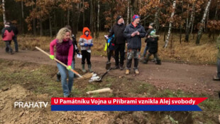 U Památníku Vojna u Příbrami vznikla Alej svobody