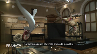 Národní muzeum otevřelo Okna do pravěku