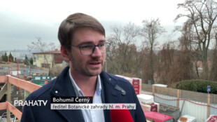 Botanická zahrada okouzlí i v zimních měsících