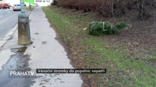 Vánoční stromky do popelnic nepatří