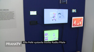 Villa Pellé vystavila tvorbu Radka Pilaře