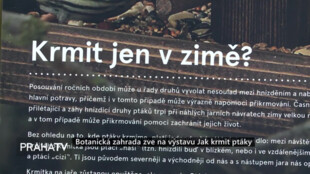 Botanická zahrada zve na výstavu: Jak krmit ptáky