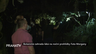 Botanická zahrada láká na noční prohlídky Fata Morgany