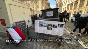 Magistrát zřídí odbornou skupinu kvůli provozu fiakrů