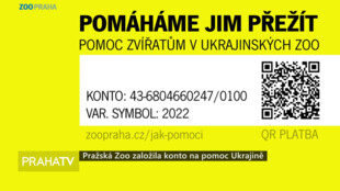 Pražská zoo založila konto na pomoc Ukrajině