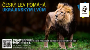 Zoo Praha nabízí možnost podpory ukrajinských zoo
