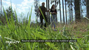 Naučná stezka Lánská obora láká do malebné přírody