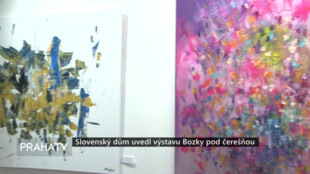 Slovenský dům uvedl výstavu Bozky pod čerešňou