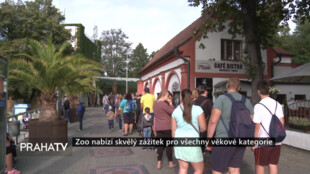 Zoo nabízí skvělý zážitek pro všechny věkové kategorie