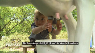 Na Proseku proběhl již 14. ročník akce Mikroklima