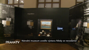 Národní muzeum uvedlo výstavu Nikdy se nevzdáme!