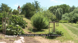 Obnova krteňské aleje v Praze 13 je dokončena