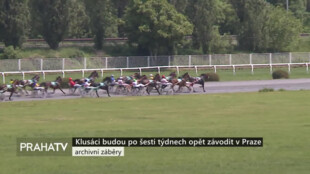 Klusáci budou po šesti týdnech opět závodit v Praze